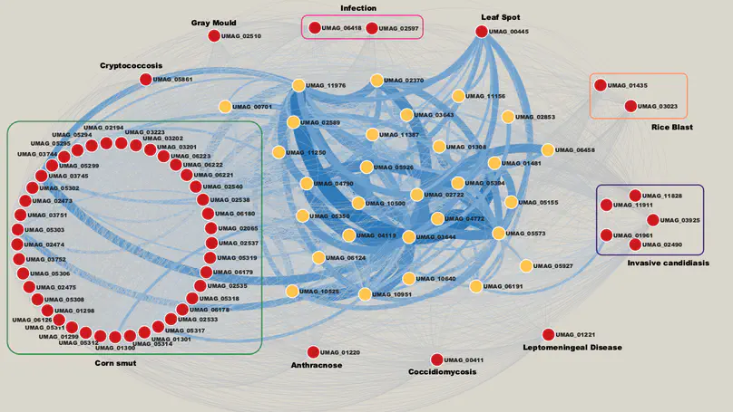 Redes de Co-expresión Genética