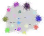 Gene regulatory network inference and gene module regulating virulence in Fusarium oxysporum