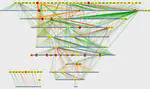 The regulatory network of Pseudomonas aeruginosa