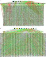 Gene regulatory networks of Penicillium echinulatum 2HH and Penicillium oxalicum 114-2 inferred by a computational biology approach