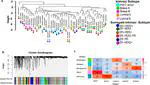 Identification of modules and key genes associated with breast cancer subtypes through network analysis