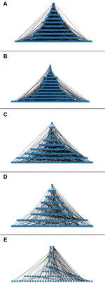 Rhizobium etli CFN42 and Sinorhizobium meliloti 1021 bioinformatic transcriptional regulatory networks from culture and symbiosis